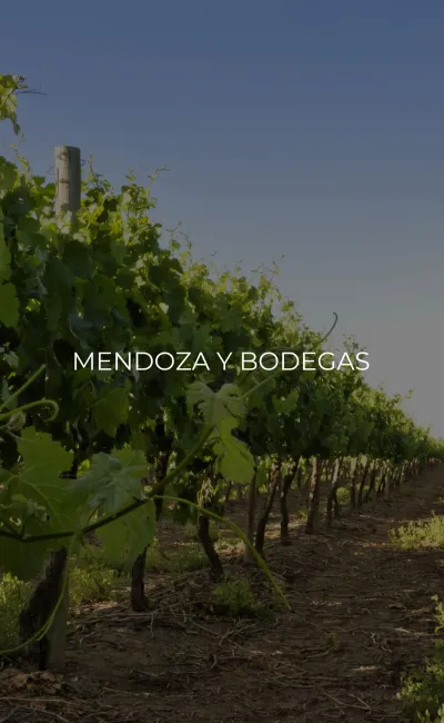Mendoza y bodegas